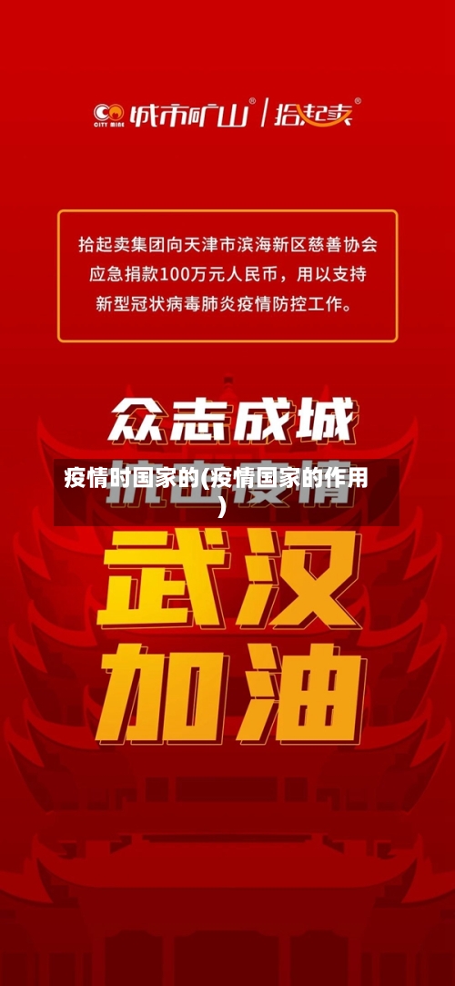 疫情时国家的(疫情国家的作用)-第3张图片