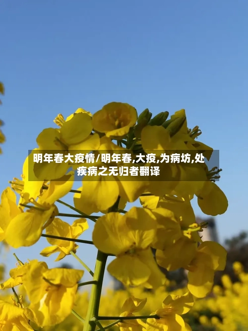 明年春大疫情/明年春,大疫,为病坊,处疾病之无归者翻译