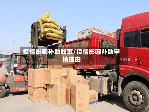 疫情影响补助政策/疫情影响补助申请理由-第2张图片