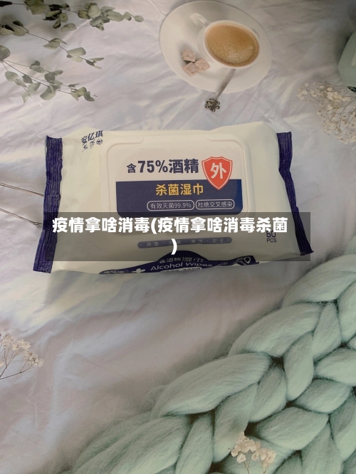 疫情拿啥消毒(疫情拿啥消毒杀菌)-第2张图片