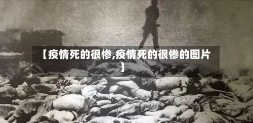 【疫情死的很惨,疫情死的很惨的图片】-第2张图片