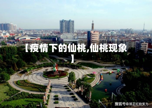 【疫情下的仙桃,仙桃现象】-第2张图片