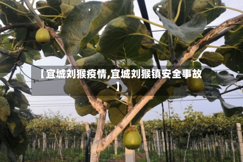 【宜城刘猴疫情,宜城刘猴镇安全事故】-第2张图片