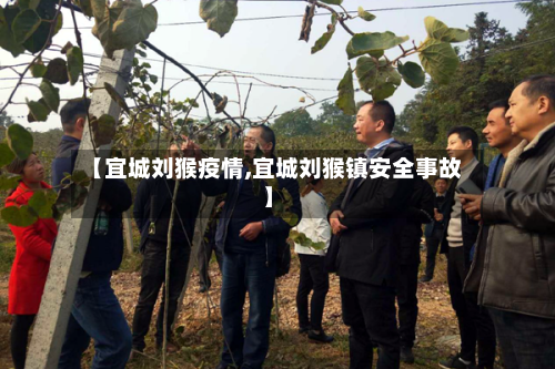 【宜城刘猴疫情,宜城刘猴镇安全事故】