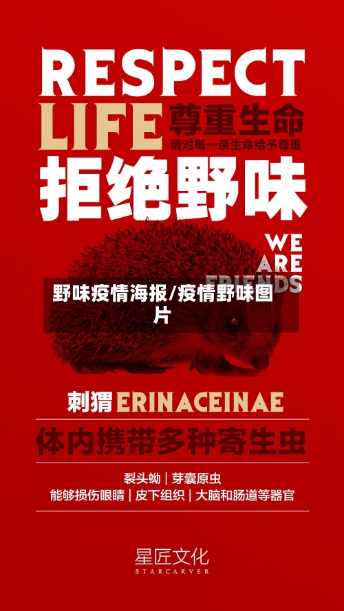 野味疫情海报/疫情野味图片-第2张图片