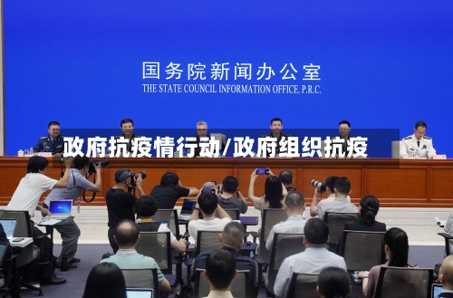 政府抗疫情行动/政府组织抗疫-第3张图片