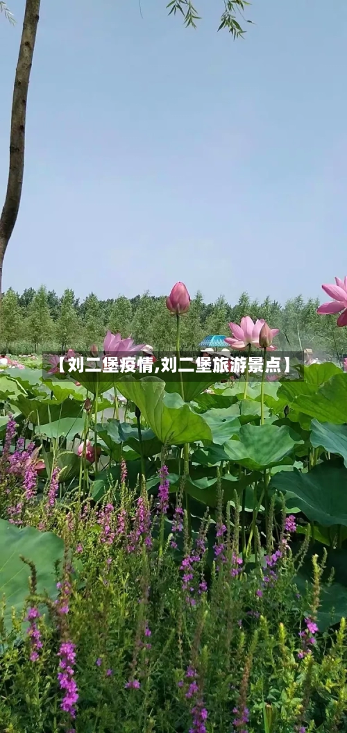【刘二堡疫情,刘二堡旅游景点】