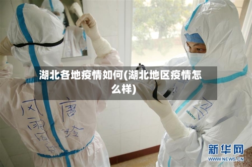 湖北各地疫情如何(湖北地区疫情怎么样)