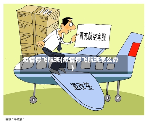 疫情停飞航班(疫情停飞航班怎么办)-第2张图片