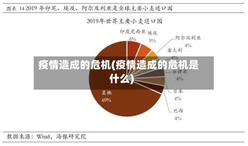 疫情造成的危机(疫情造成的危机是什么)-第2张图片