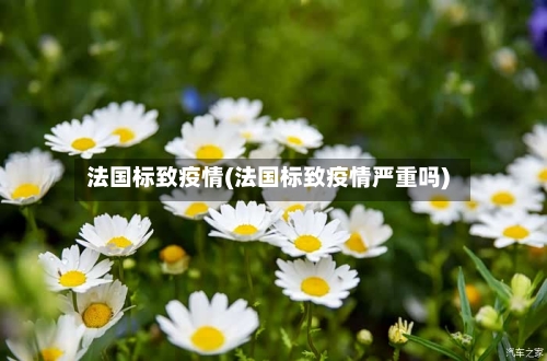 法国标致疫情(法国标致疫情严重吗)-第2张图片