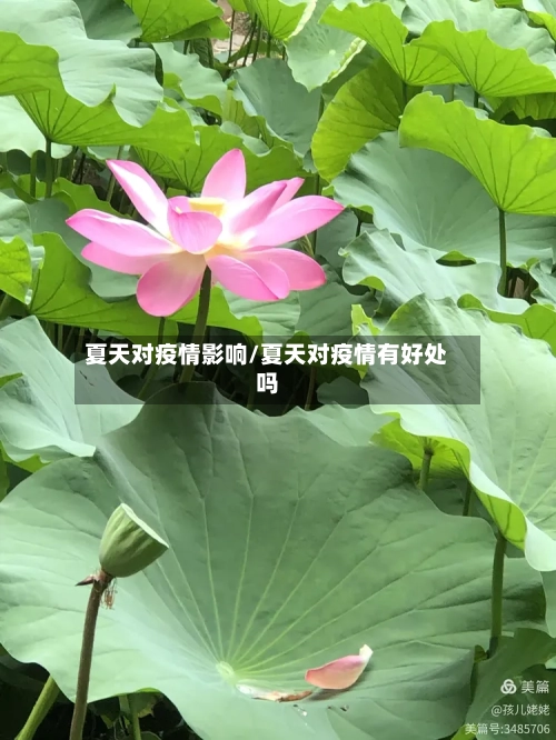 夏天对疫情影响/夏天对疫情有好处吗