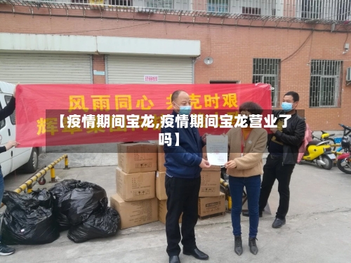 【疫情期间宝龙,疫情期间宝龙营业了吗】-第2张图片