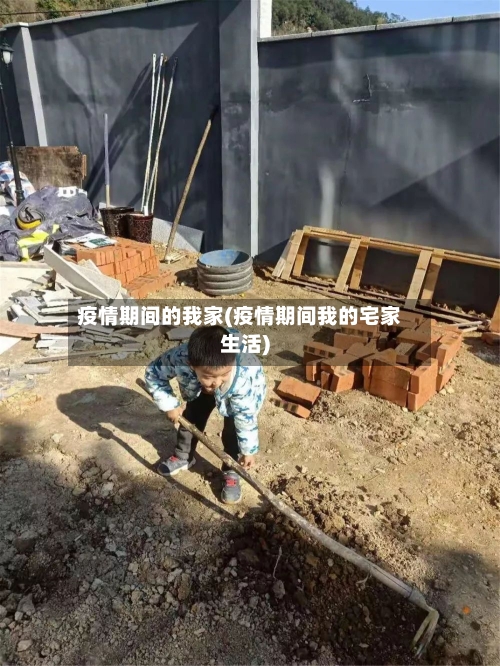 疫情期间的我家(疫情期间我的宅家生活)-第2张图片