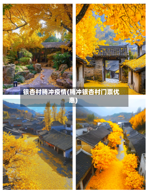 银杏村腾冲疫情(腾冲银杏村门票优惠)-第2张图片