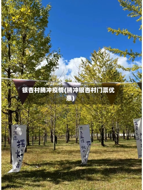 银杏村腾冲疫情(腾冲银杏村门票优惠)