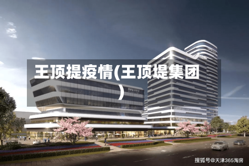 王顶提疫情(王顶堤集团)