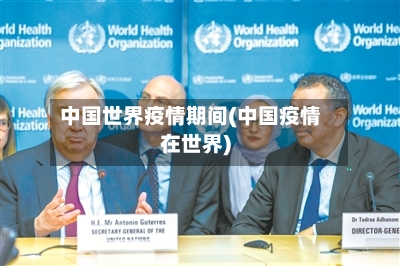 中国世界疫情期间(中国疫情在世界)-第2张图片