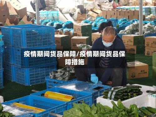 疫情期间货品保障/疫情期间货品保障措施