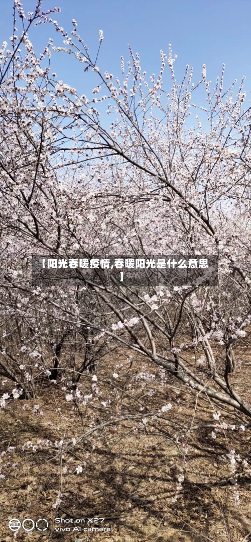 【阳光春暖疫情,春暖阳光是什么意思】-第2张图片