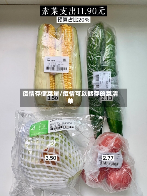 疫情存储菜量/疫情可以储存的菜清单