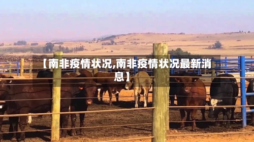 【南非疫情状况,南非疫情状况最新消息】