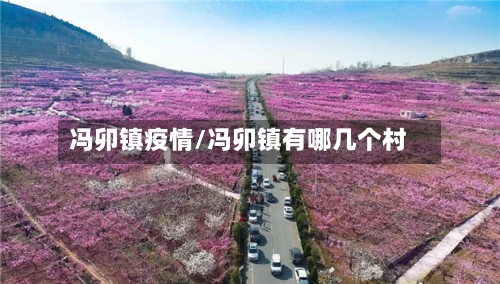 冯卯镇疫情/冯卯镇有哪几个村-第2张图片