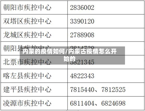 内蒙的疫情如何/内蒙古疫情怎么开始的-第2张图片