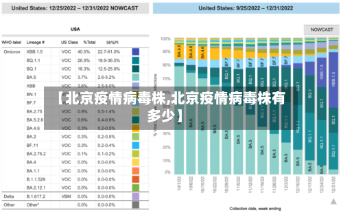 【北京疫情病毒株,北京疫情病毒株有多少】-第3张图片