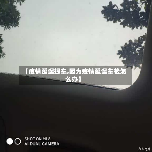 【疫情延误提车,因为疫情延误车检怎么办】