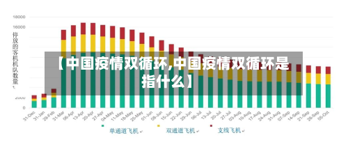 【中国疫情双循环,中国疫情双循环是指什么】