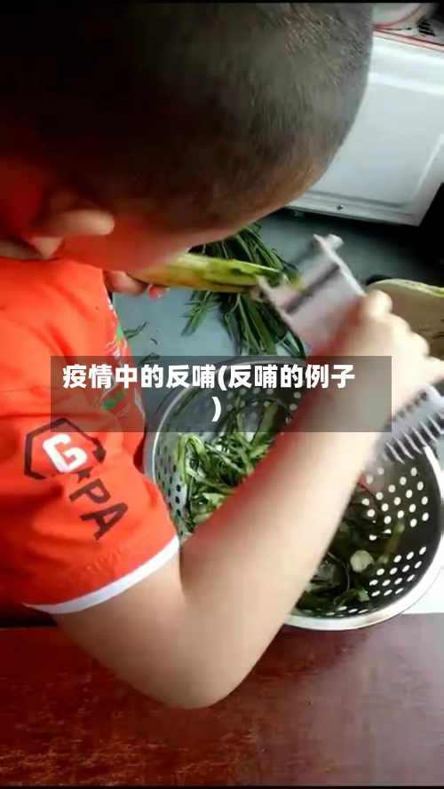 疫情中的反哺(反哺的例子)
