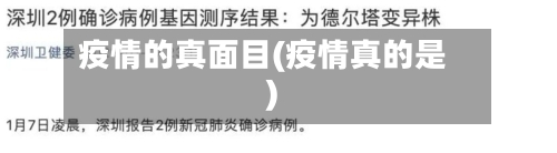 疫情的真面目(疫情真的是)