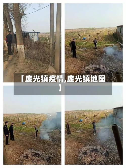 【庞光镇疫情,庞光镇地图】-第3张图片