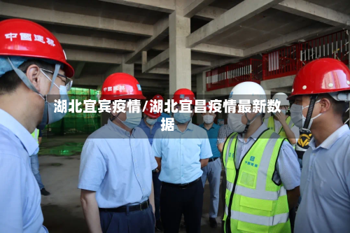 湖北宜宾疫情/湖北宜昌疫情最新数据-第2张图片