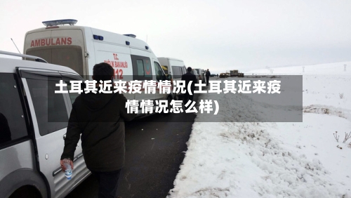 土耳其近来疫情情况(土耳其近来疫情情况怎么样)