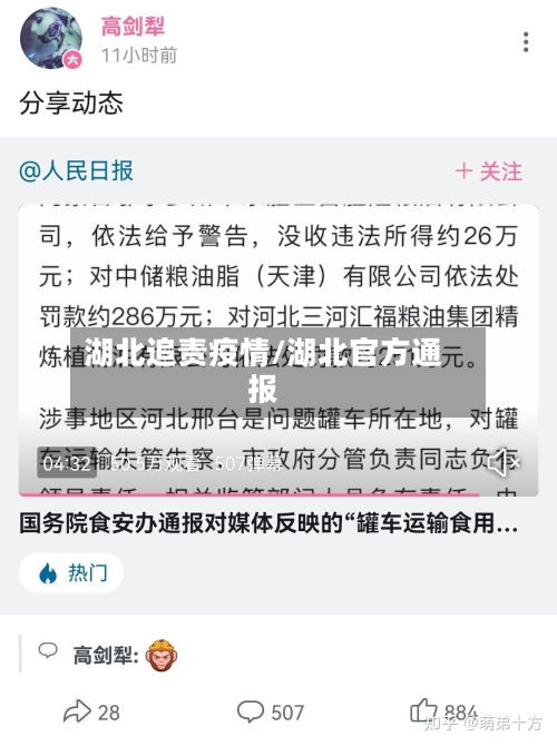 湖北追责疫情/湖北官方通报-第2张图片
