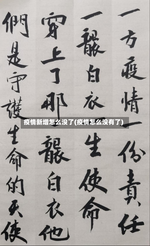 疫情新增怎么没了(疫情怎么没有了)-第2张图片