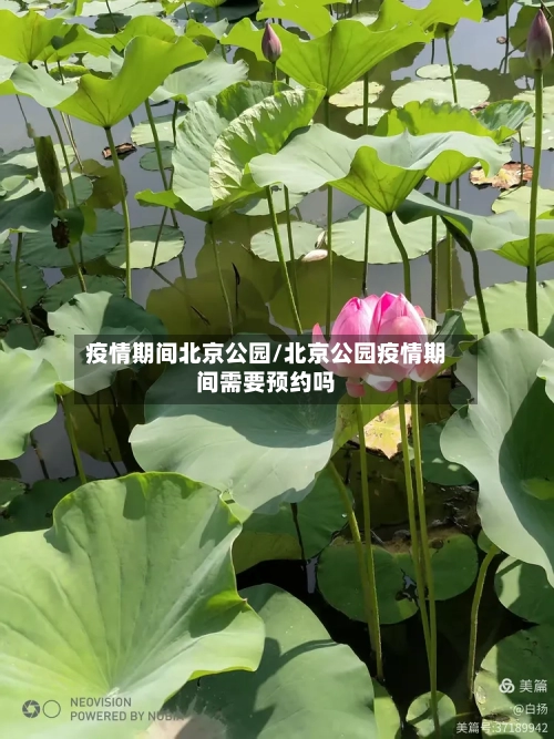 疫情期间北京公园/北京公园疫情期间需要预约吗-第2张图片