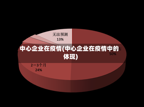 中心企业在疫情(中心企业在疫情中的体现)