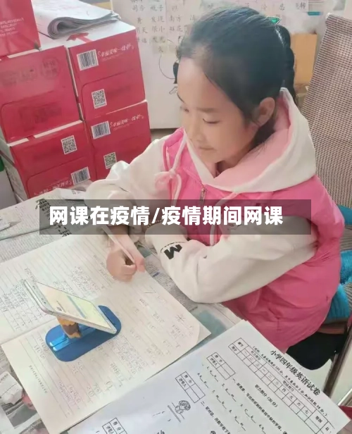 网课在疫情/疫情期间网课