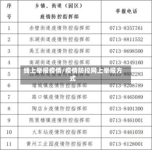 线上举报疫情/疫情防控网上举报方式