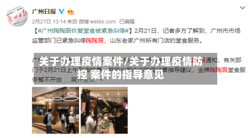 关于办理疫情案件/关于办理疫情防控 案件的指导意见