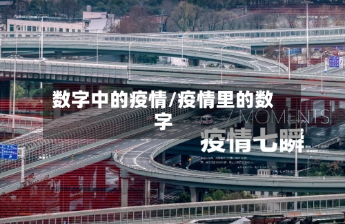数字中的疫情/疫情里的数字-第3张图片