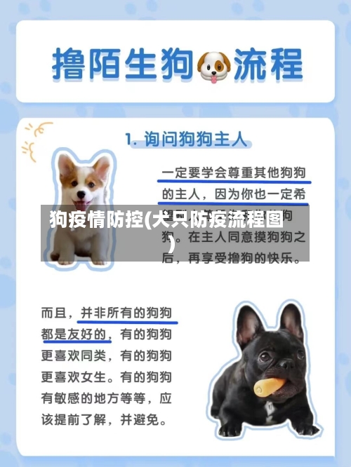 狗疫情防控(犬只防疫流程图)