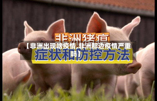 【非洲出现啥疫情,非洲那边疫情严重吗】-第3张图片