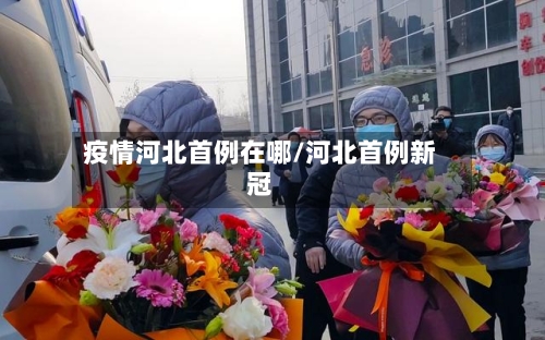 疫情河北首例在哪/河北首例新冠