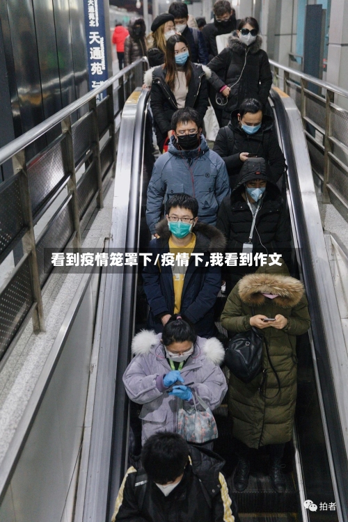 看到疫情笼罩下/疫情下,我看到作文-第3张图片