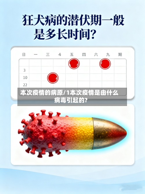 本次疫情的病原/1本次疫情是由什么病毒引起的?-第2张图片