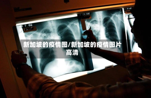 新加坡的疫情图/新加坡的疫情图片高清-第2张图片